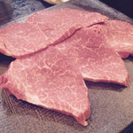 SATOブリアン - ヒレ