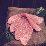 SATOブリアン - シンシン