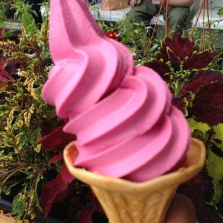 東八甲田ローズカントリー_0