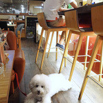 アネア　カフェ - それぞれの寛ぎ