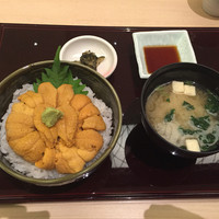 函館うに むらかみ 日本生命札幌ビル店 - 生ウニ丼 3672円