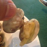 クングラーノサリ - 小さいけど身入りのいいアサリ。