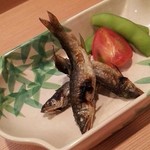 衛藤 - 稚鮎、フルーツトマト、茶豆