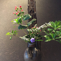 高麗橋桜花 - 