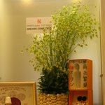 スイーツガーデン ユウジアジキ - 