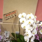 スイーツガーデン ユウジアジキ - 