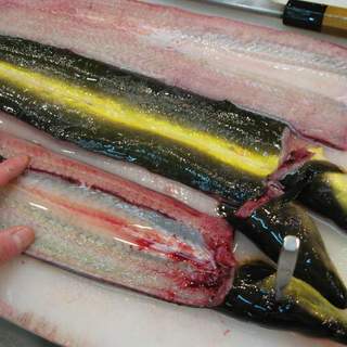 津軽割烹未来_2