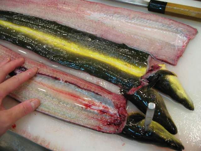 津軽割烹未来 - 青森（日本料理）の写真