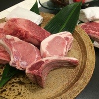 イルブリオ - 