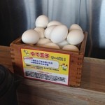 Tenkaippin - ゆで卵無料！