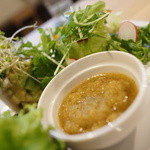 スプラウト - サラダ