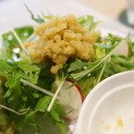 スプラウト - おろしドレ