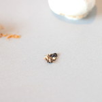 レストラン エテルニテ - 黒胡椒 '15 5月上旬