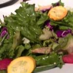 鶏料理専門店 とりかく - 