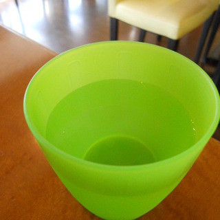 ヒヴァヒヴァ オハナ_1