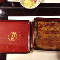 鰻割烹 伊豆栄 梅川亭 - 鰻重
