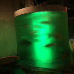 海千山千番長 裏なんば店（道具屋筋店） - お魚も活き活き