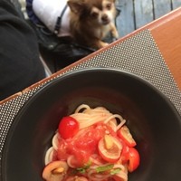 オッジ ダルマット 西麻布店 - テラス席はワンちゃんOK！
