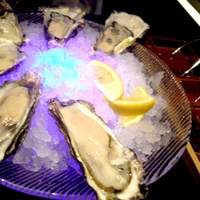 MAIMON GINZA - 