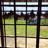 ラ カーサ ヴェッキア - 吊るされた玉ねぎが如何にも淡路していますね