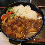 とんかつ割烹こしば - 2015'6/22 野菜カレー￥６００