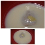 御料理 光安 - 蕎麦がきの白みそ仕立・・これも定番です。いい白みそを使用されていますので、いつ頂いても美味しい。