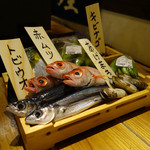 Sakana To Robata Chatten - その日のオススメの魚をテーブルまで運んでくれる