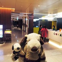 ライブキッチン COOKA - やってきのは、ハルカス19階、大阪マリオット都ホテル
                『ライブキッチンCOOKA（クーカ）』だよ。ブッフェスタイルのお店です。
                入口はホテルのフロントみたいだねえ。