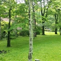 ボーセジュール - ホテルの周辺