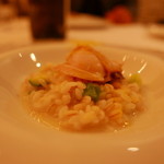 クッチーナ イタリアーナ ガッルーラ - 【2015/6再訪】蛤のリゾット