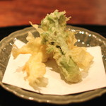 麻布 幸村 - 白魚とタラの芽の天ぷら　(2015/05)