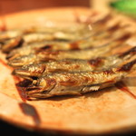 麻布 幸村 - 琵琶湖の稚鮎焼き　(2015/05)