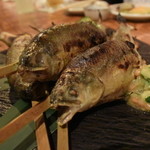 炭と地酒とたしなみワイン Kai本店 醸す - これ凄い。ぷりぷりで肉厚の鮎の炭火焼き金山寺キュウリ添え。激ウマだった～