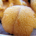 Banya - 絶品のウニ！粒がハッキリ