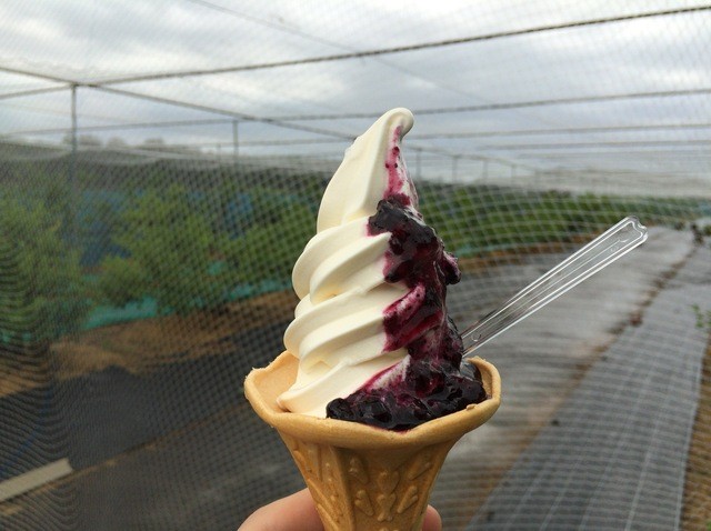 東光園（トウコウエン） - 羽後岩谷（スイーツ）の写真