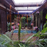 トミーガーデン - 