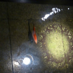 ここ一軒で山口県 アンド吉祥 - 内観（第三回訪問）