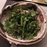 旬菜 おぐら家 - 白神クレソンと水茄子、トトリコ豚ノサラダ