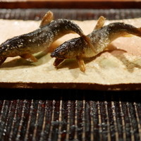 神楽坂 石かわ - ２匹の稚鮎の泳ぎまわる...