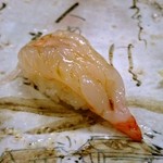 梅乃寿司 - ボタン海老