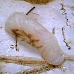 梅乃寿司 - ヒラメ