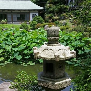 浄土宗大本山 光明寺_2