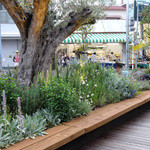 ファーム トゥー ユー - オリーブの古木と植栽