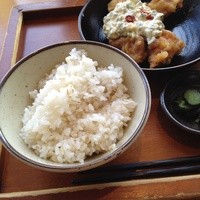 ダイナミックキッチン＆バー 響 カレッタ汐留店  - チキン南蛮定食。麦ご飯。