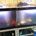 エレベータが開くとこの風景。