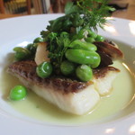 カーヴ・ド・コンマ - 真鯛のポアレ