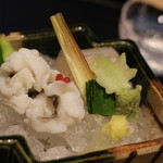 お造りは鱧と鱚の炙ったの