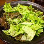 炭火焼肉 やまもと - サラダ