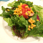 トラットリア マッコ - 2015/6/☆  サラダ付き