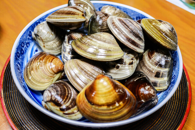 こんなハマグリ 地球上に存在するのか なんちゃって By みつごとうさん 日の出 ひので 西桑名 魚介料理 海鮮料理 食べログ こんなハマグリ 地球上に存在するのか なんちゃって By みつごとうさん 日の出 ひので 西桑名 魚介料理 海鮮料理 食べログ
